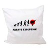 Kissenbezug Kollektion Karate Evolution